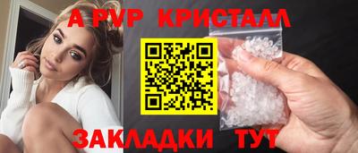 стафф Заводоуковск