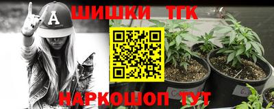 стафф Заводоуковск