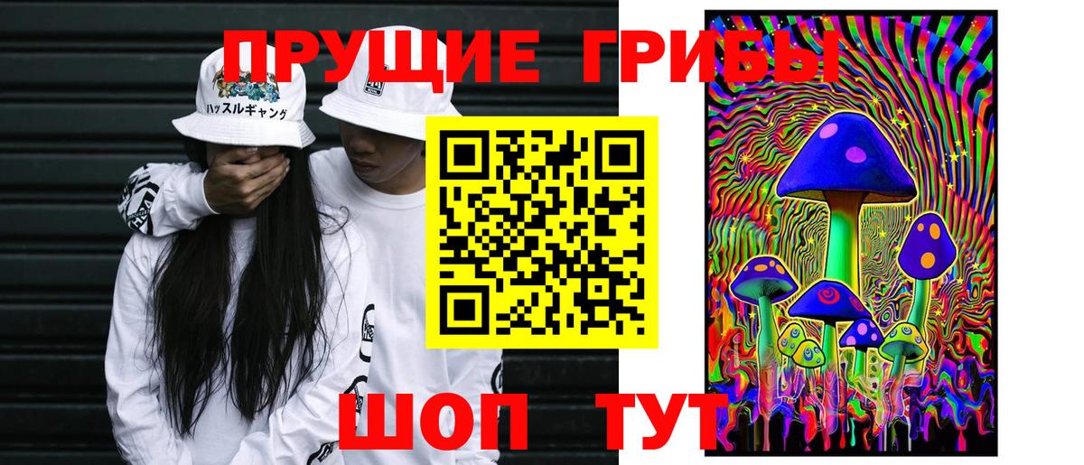 Орехово-Зуево  Псилоцибиновые грибы прущие грибы  Псилоцибиновые грибы GOLDEN TEACHER  Вход с VPN 