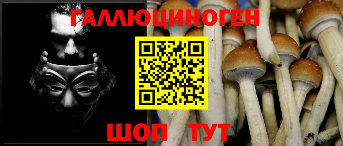 Псилоцибиновые грибы ЛСД Орехово-Зуево